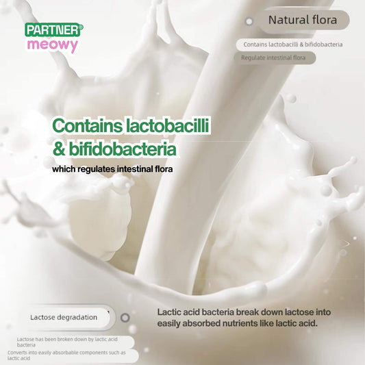 Freeze-Dried Yogurt Cubes 60g/80g