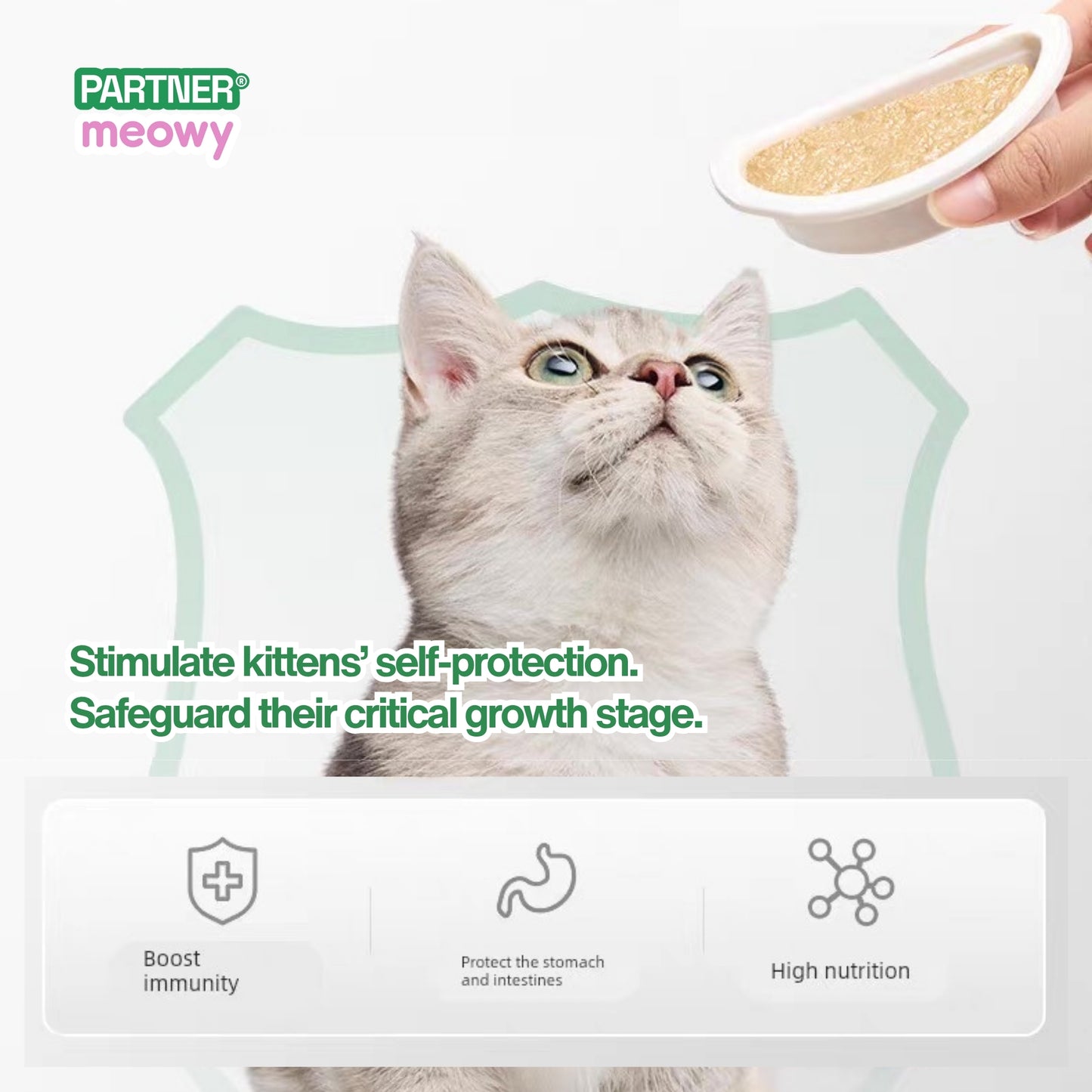 8:1:1 Complete & Balanced Staple Cat Wet Food for Kittens, Pregnant & Lactating Cats