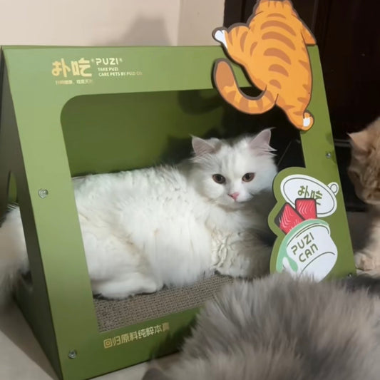 Tent with Scratch Pad