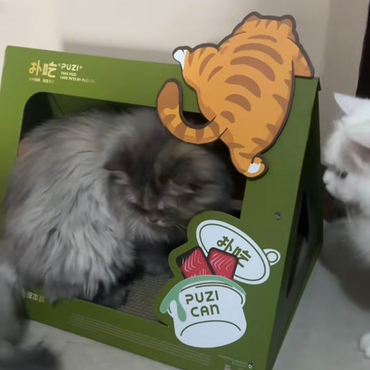 Tent with Scratch Pad