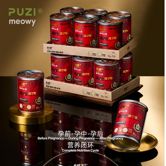 High-Energy Nutritional Cat Food for Pregnant, Nursing, and Growing Kittens