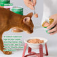 8:1:1 Complete & Balanced Staple Cat Wet Food Can 170g