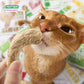 Pure Raw-Cut Freeze-Dried Snack 30-90g