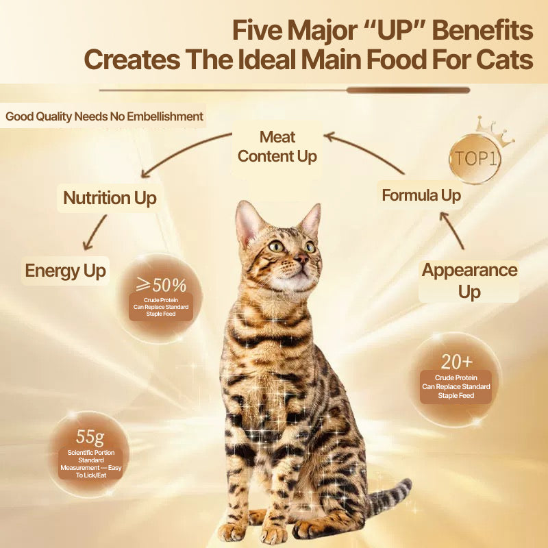 D-wen Soft Milk & Milk Cake Tender Shredded Meat Cup Staple Cat Food