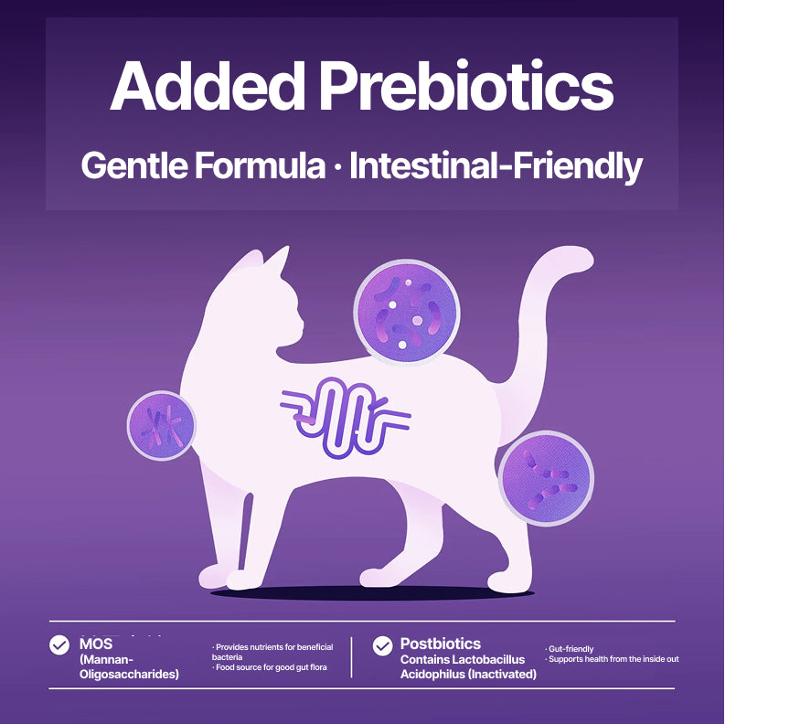 Fish Oil Burst-Bead & Fresh Meat + Cheese Cat Sticks