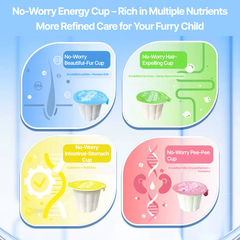 Worry-Free Nutrition Cup