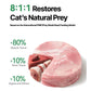 8:1:1 Formula Freeze-Dried Main Meal 240g