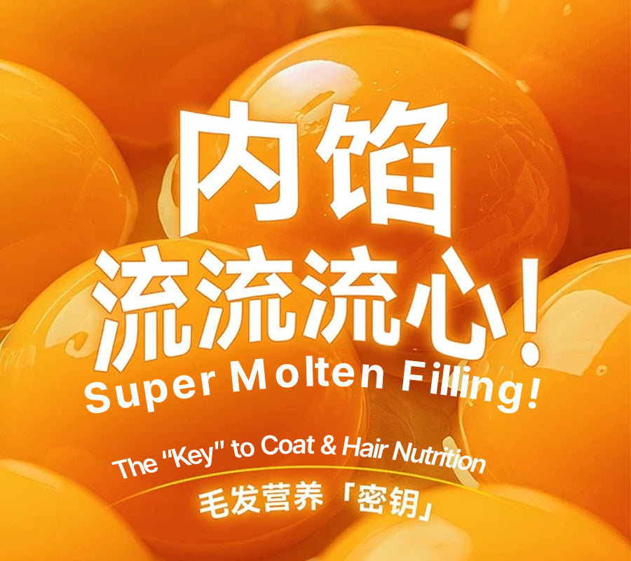 Lava Can | Staple Cat Food (1 box)