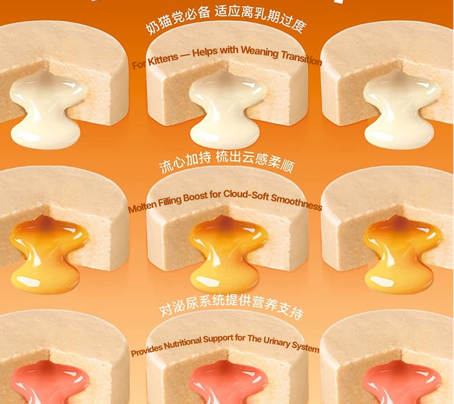 Lava Can | Staple Cat Food (1 box)