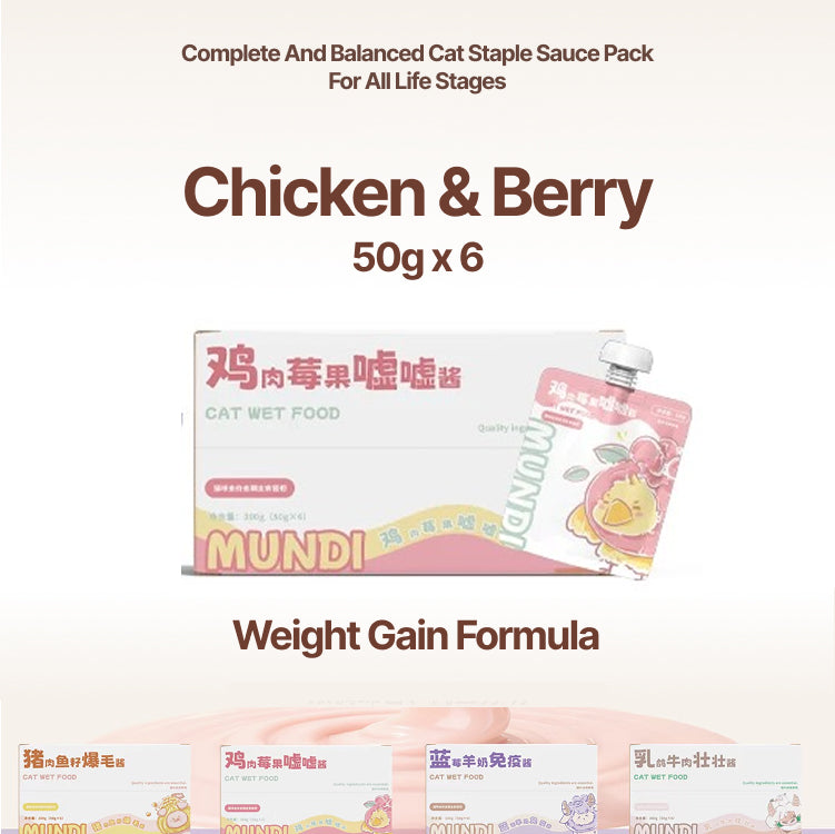 Mundi Cat Wet Food Magic Sauce Series