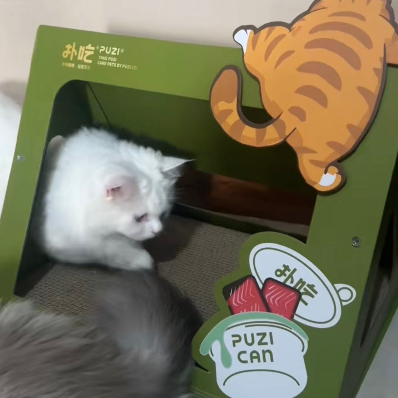 Tent with Scratch Pad