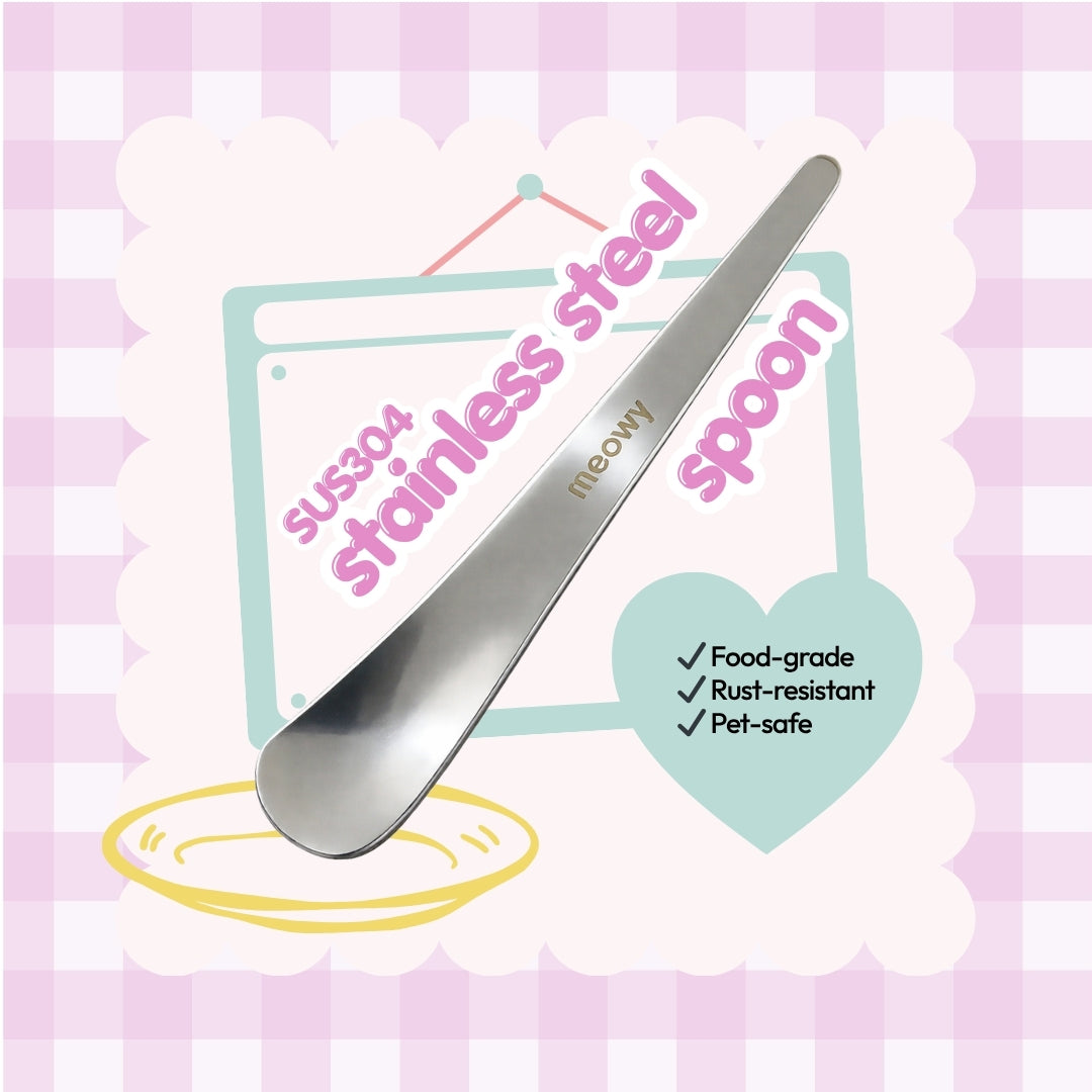 Stainless Steel Spoon