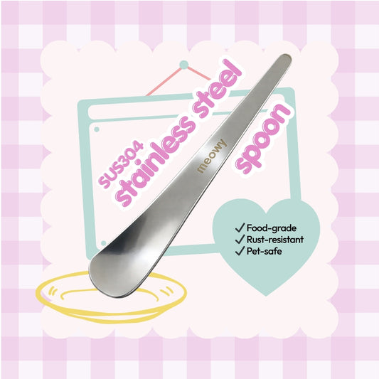Stainless Steel Spoon