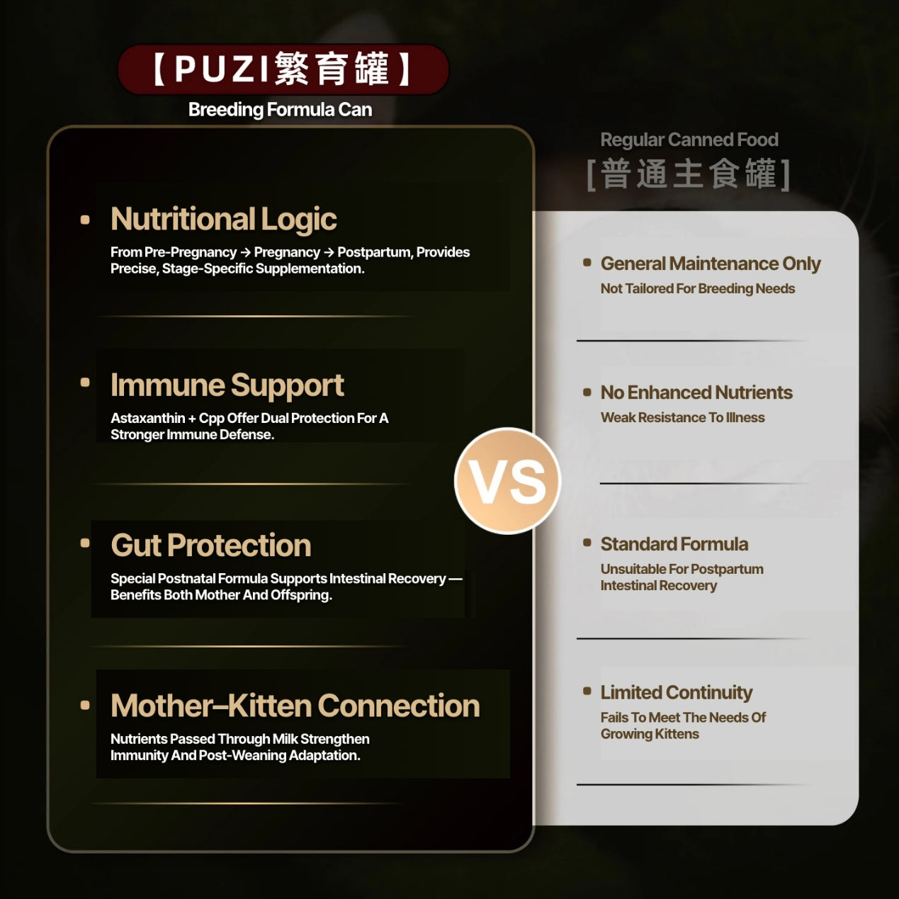 High-Energy Nutritional Cat Food for Pregnant, Nursing, and Growing Kittens